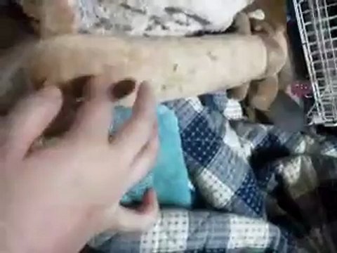 20120828ハルハル