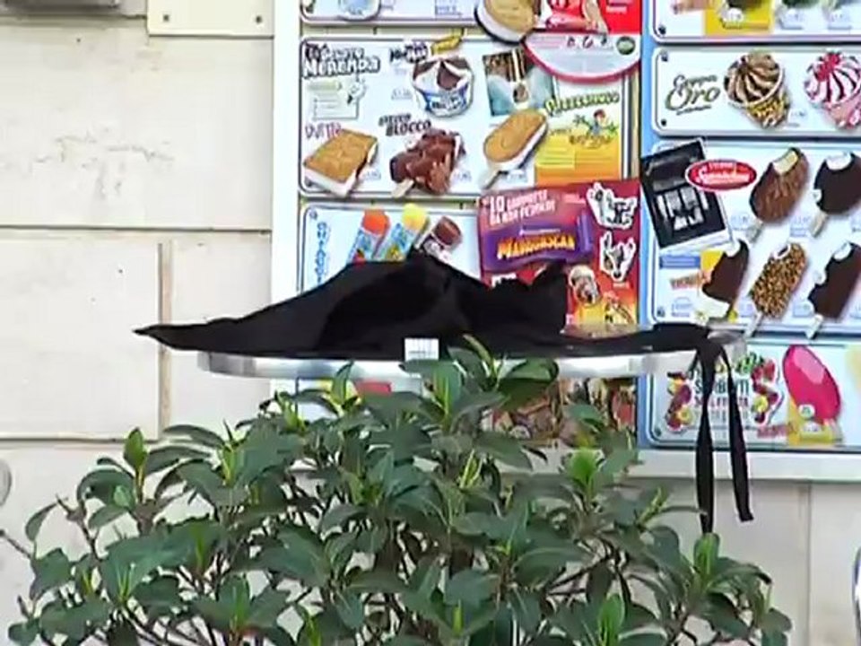 TG 25.08.12 Omicidio di Mola: arrestati due presunti assassini di Giuseppe Amodio