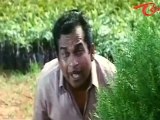 Telugu Comedy Scene Between Srikanth Gang - Brahmi