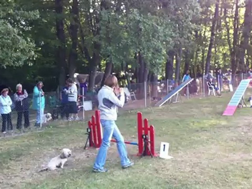 concours open à la canine