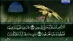 Quran Recitation by Sa'ad Al Ghamdi-اجمل تلاوة - سعد الغامدى.