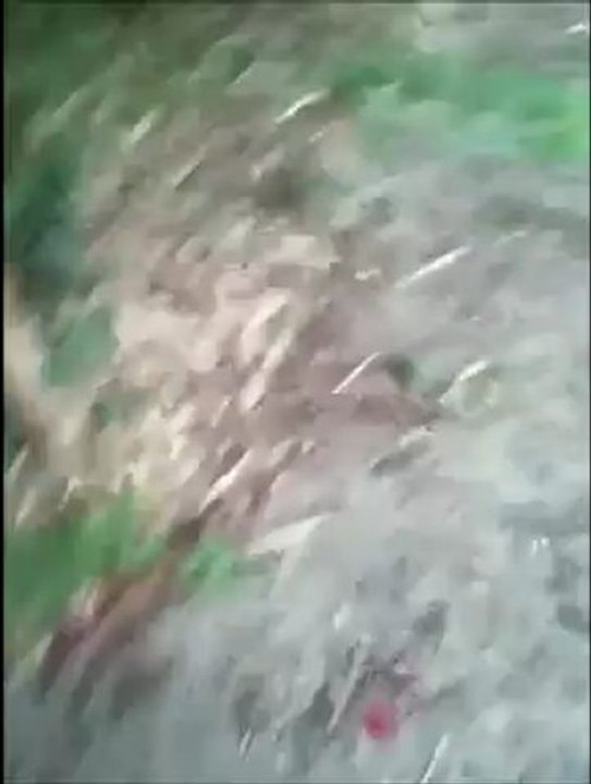 heaven assis pied couché