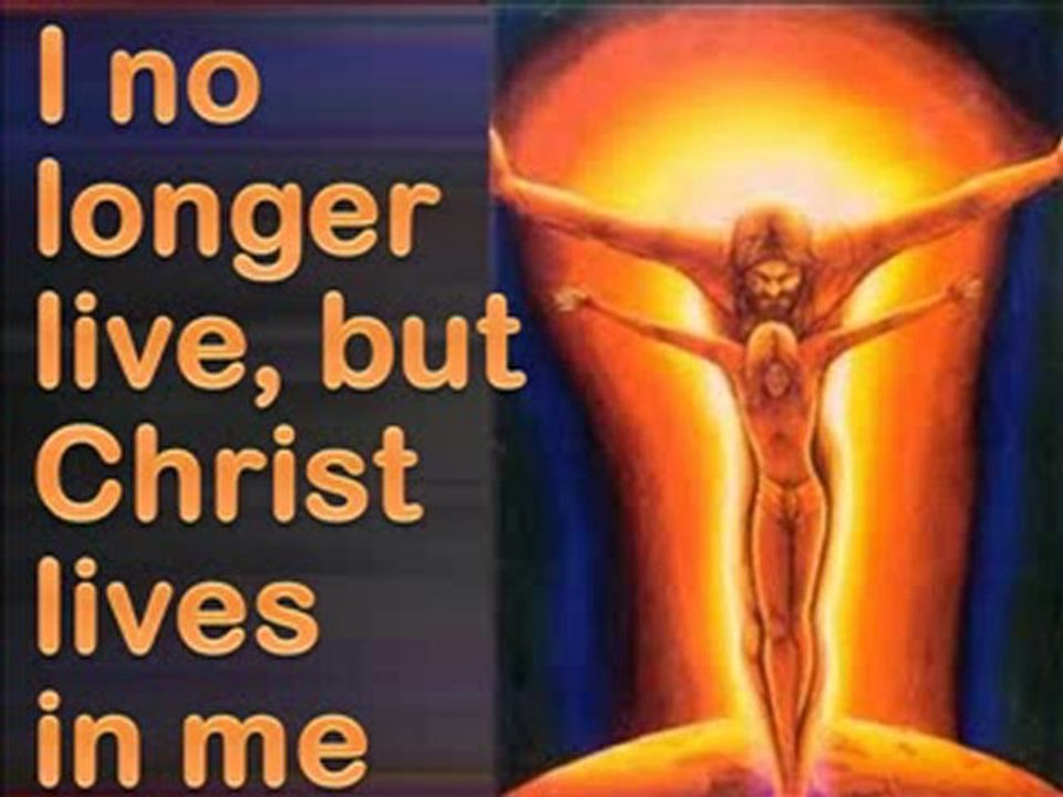 DAILY IN CHRIST 146