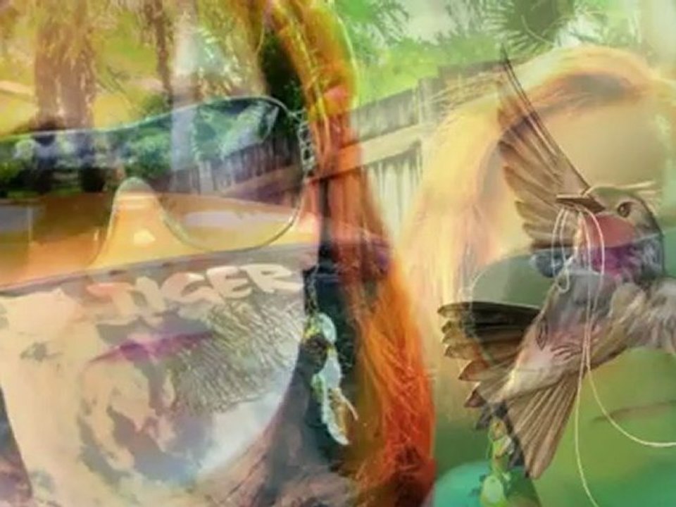 Mark Ashley -magical moon-oma