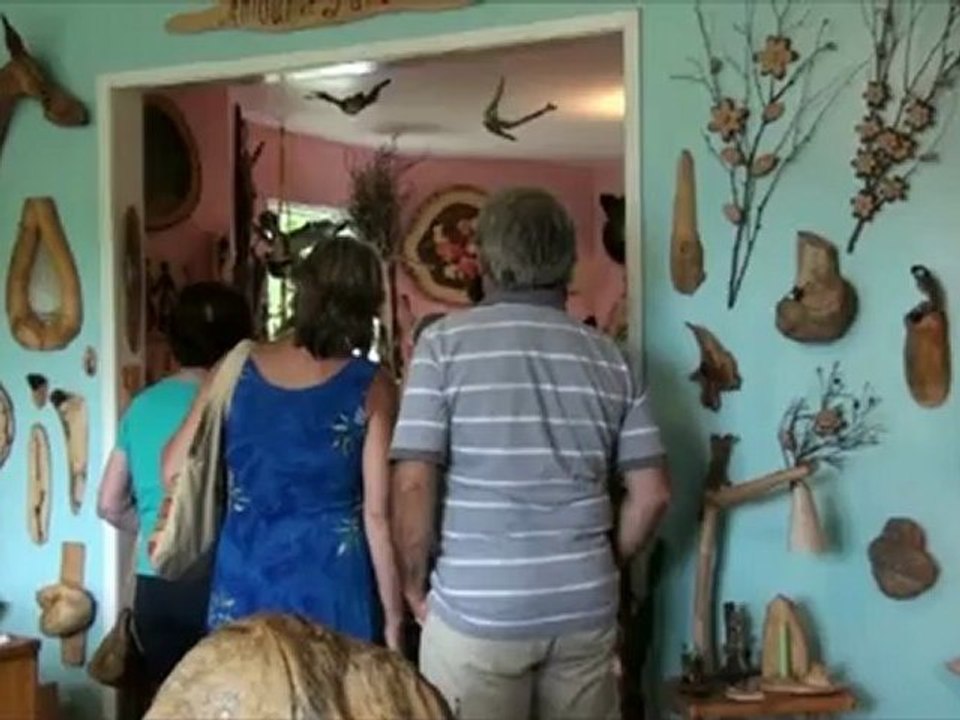 La plus grande Collection de champignons d'arbres au monde