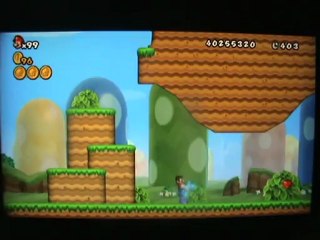 New super Mario bros wii canon du monde 1