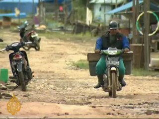 Indonesia's orangutans struggle to survive