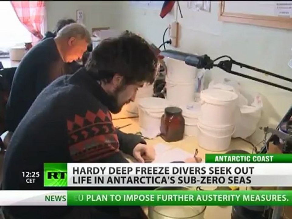 Deep freeze divers brave Antarctica to seek out life in sub-zero seas