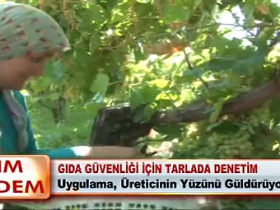 GIDA GÜVENLİĞİ İÇİN TARLADA DENETİM