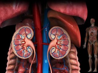 Une enquête nationale révèle que les patients ne sont pas conscients des complications les plus graves de leur maladie