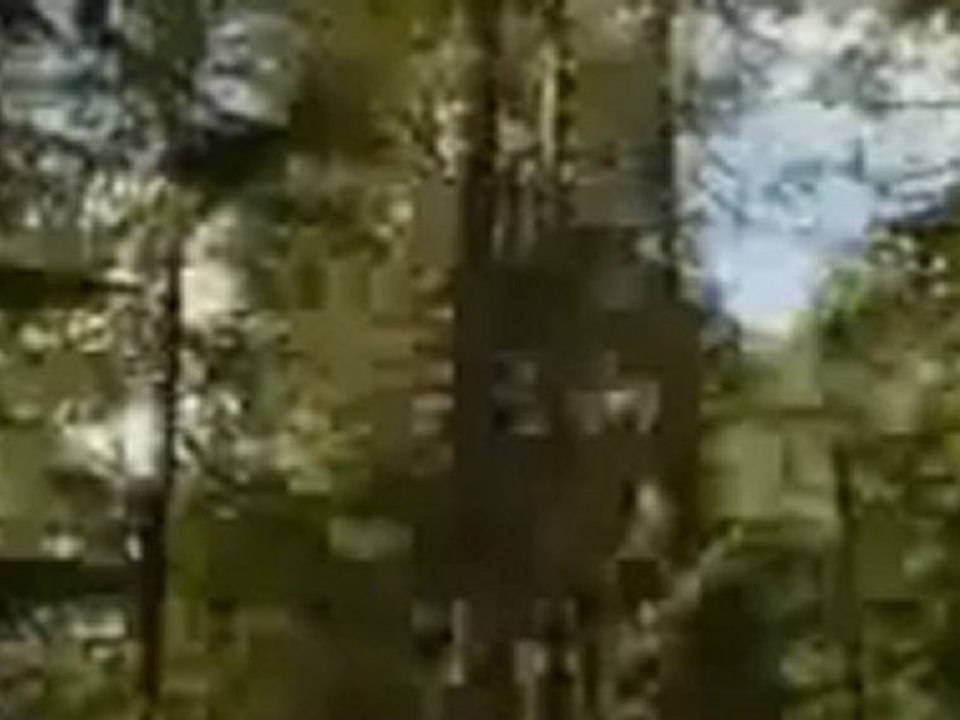bande annonce twilight r