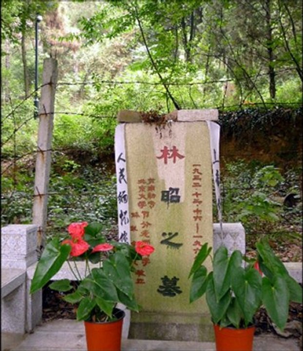 沒有人為你報仇