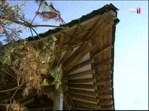 TCR 28 A WWWOLAYWEBCOM