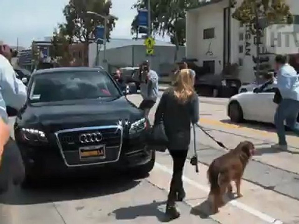Australian Shepherd: Amanda Seyfried And Her Dog Finn Lunching In Beverly Hills.