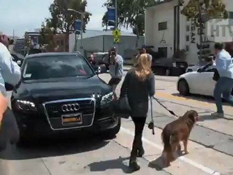 Australian Shepherd: Amanda Seyfried And Her Dog Finn Lunching In Beverly Hills.