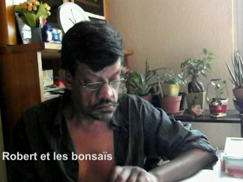 Robert et les bonsais