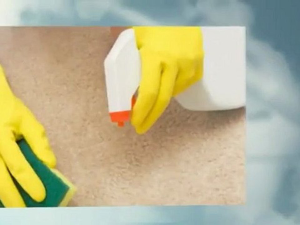 The Cleaning Authority - (510) 656-0143