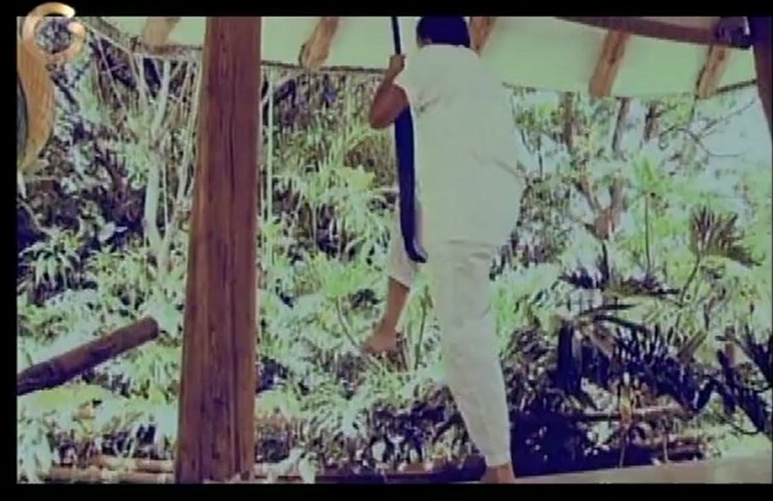 Saber Vivir: ¿Cómo tener una vejez feliz?