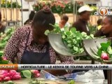 Horticulture : Le Kenya se tourne vers la Chine
