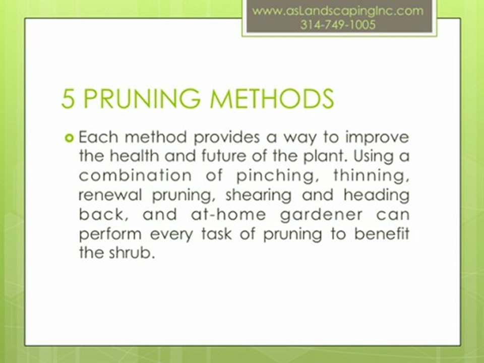 Pruning - Lowering your Garden Shrubs
