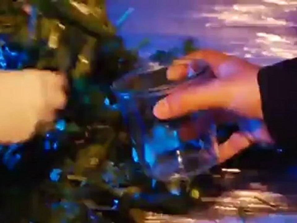 El festival'Copenhagen Cooking' | Euromaxx