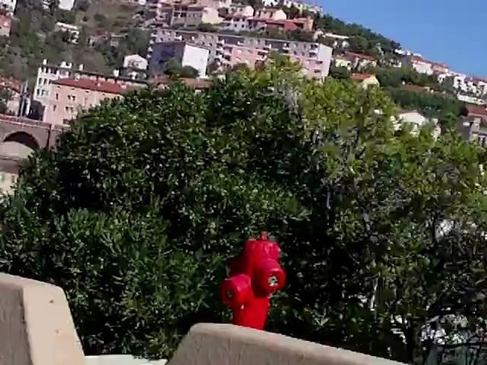CERBERE