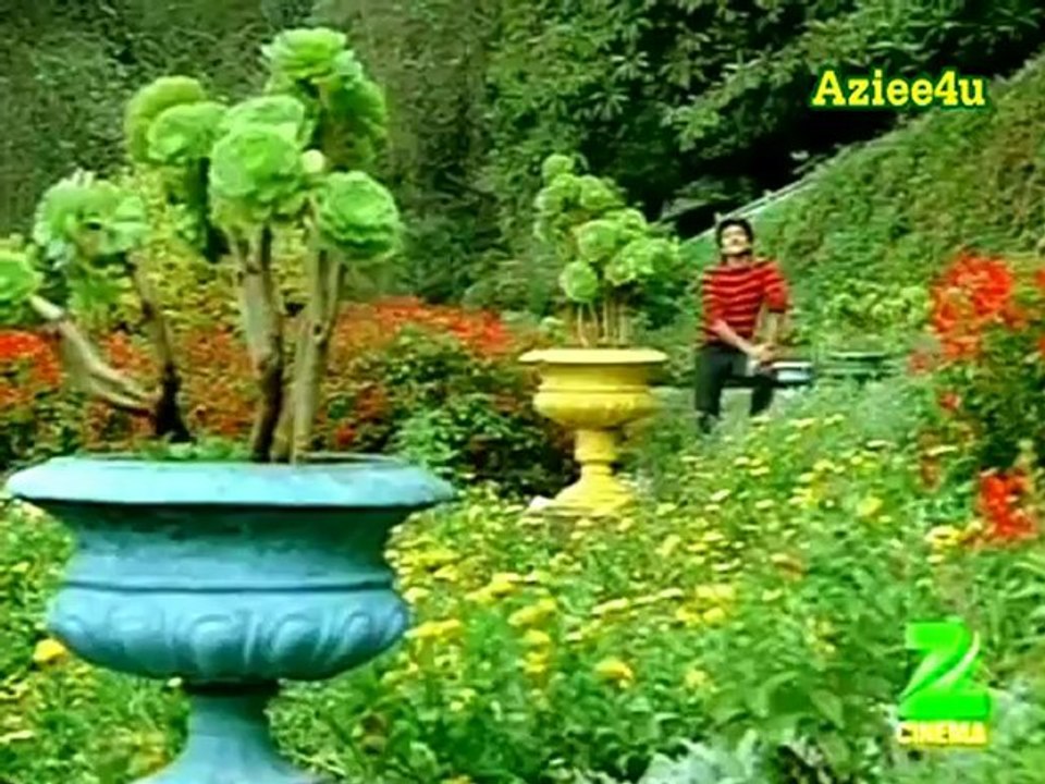 Pyar Kiya Nahin Jaata Ho Jata Hai ( Shabbir Kumar & Lata Mangeshkar )