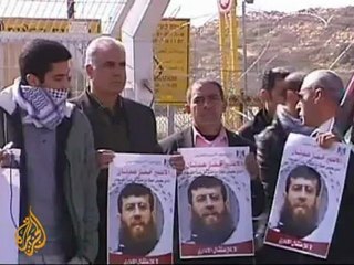 Hundreds of Palestinians join hunger strike
