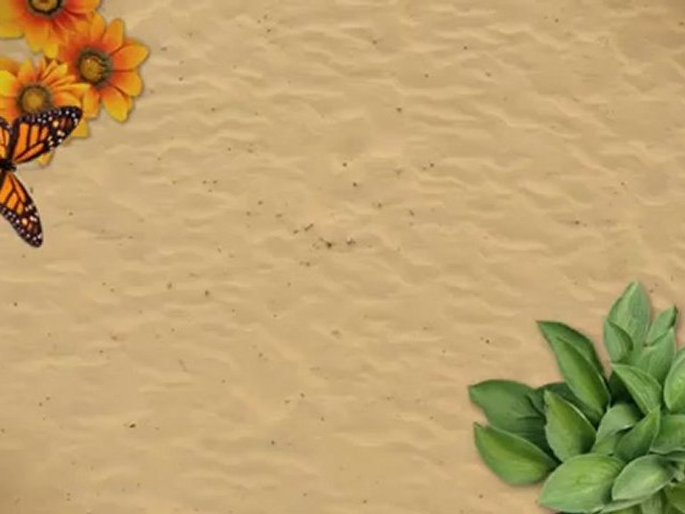 Halifax Hydroponics | Ebb & Flow - How Long To Water