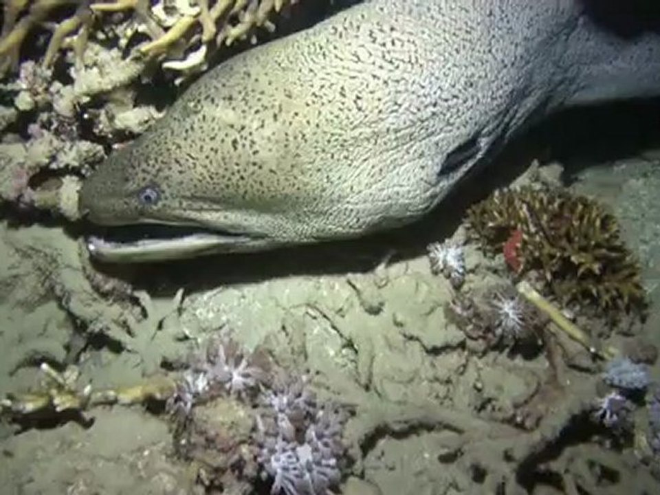 Aldiana Makadi Bay 2012