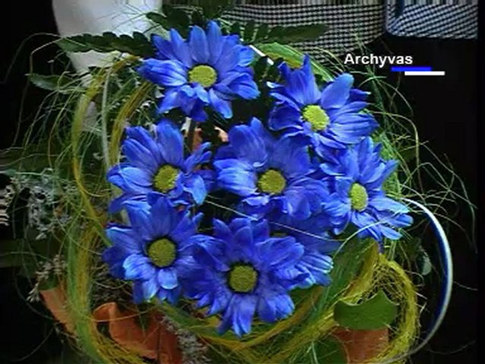 PanTv zinios 20120828