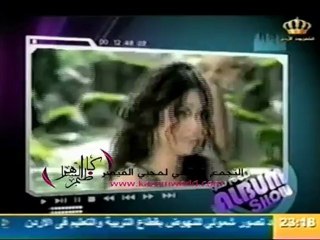 هيفاء وهبي: لن اكون مقدمة برامج أمام زملاء وليسوا عمالقة مثل وديع الصافي