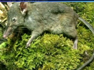 DIARIO NOTICIAS Viernes 24 de Agosto 2012