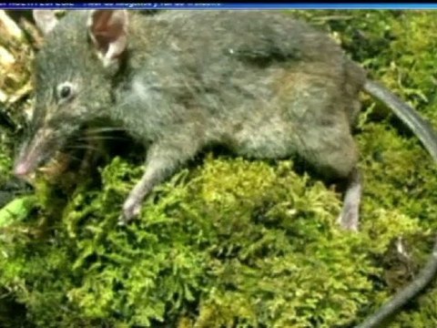 DIARIO NOTICIAS Viernes 24 de Agosto 2012