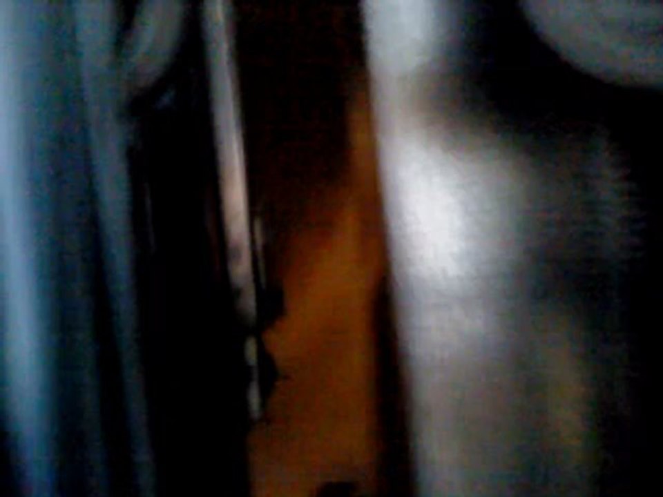 MOV00556
