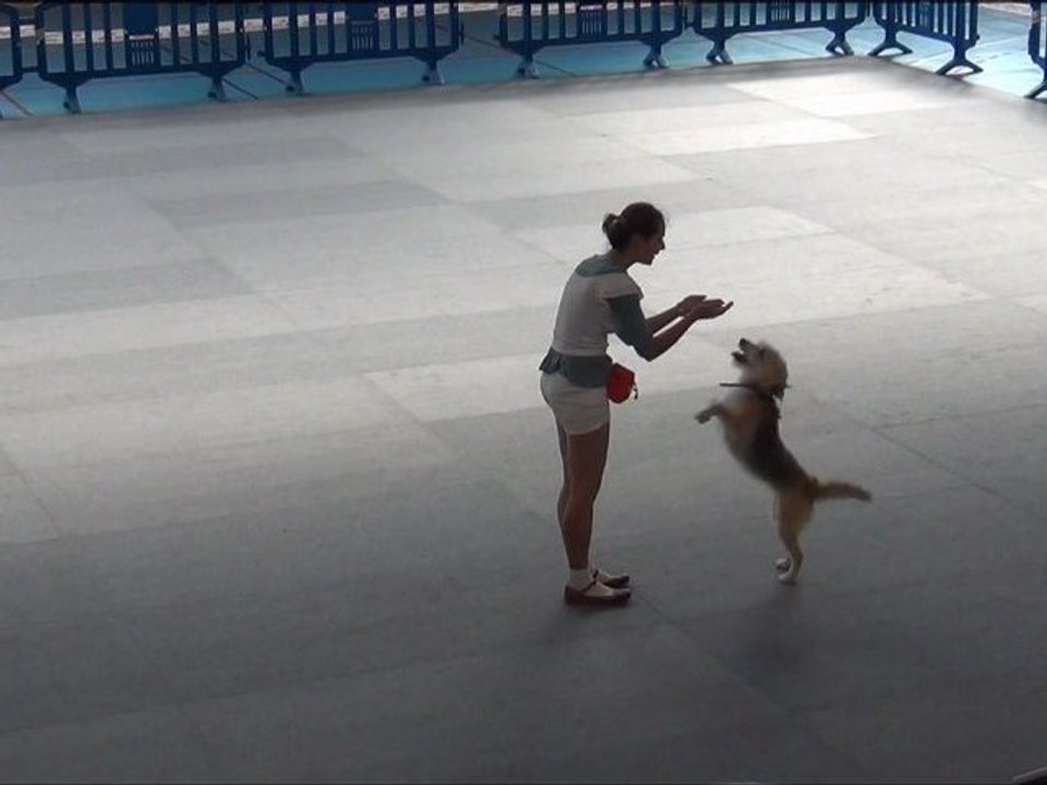 Obérythmée concours Saint Michel Chef Chef 25 aout 2012