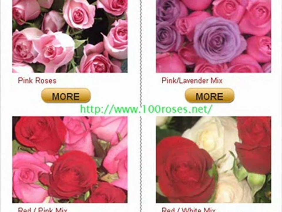 100roses