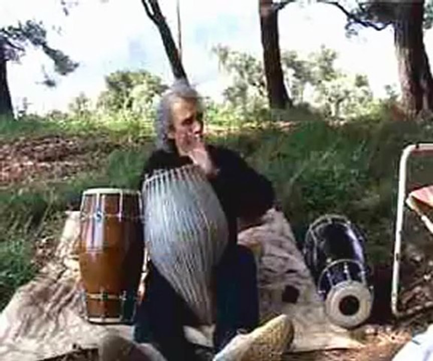 natural percussion for birds