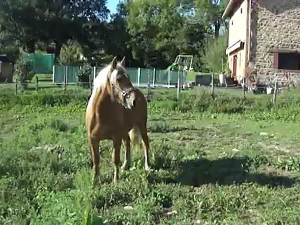 Bounty arrive à la maison