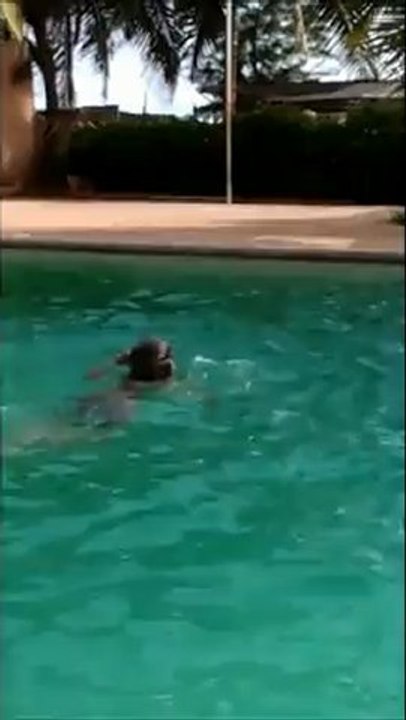 Etienne sans brassards !