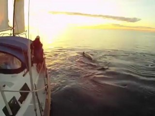 Singing with humpback whales