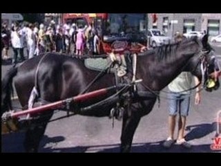 Napoli - I cocchieri vogliono il lungomare (28.08.12)