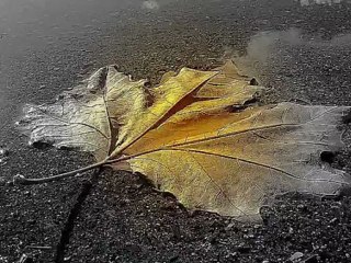 Sanatkarane-Müsade Özdemir