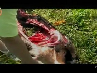 ท่องโลกกว้าง-28-Aug-2012