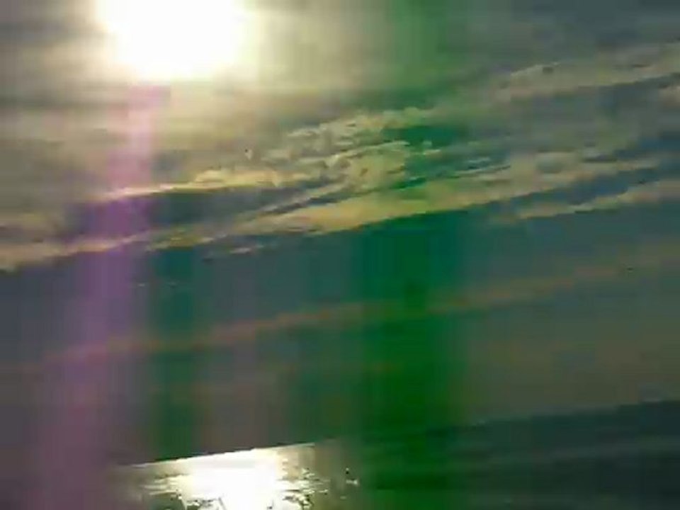 2eme vidéos baleines a Provincetown cape cod