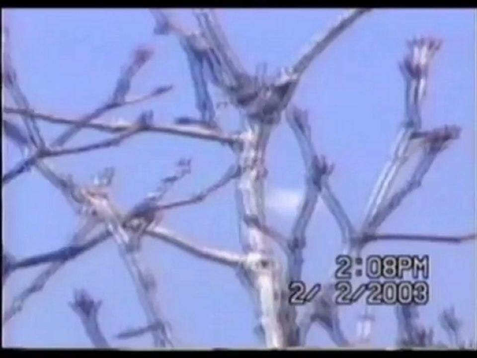UFO- Real Footage-Shocking News,Don't fear,,[29.Aug.2012.]