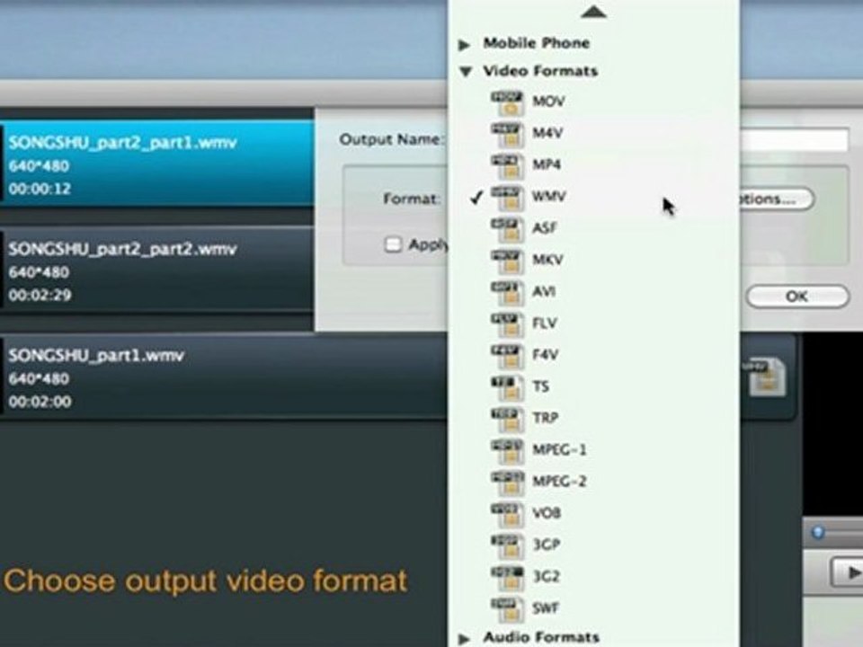 How to Convert WMV to MP4, FLV, MOV, etc. on Mac OS X Lion