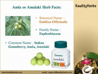 Buy Cheapest Amalaki Himalaya Online - Natural Herbal Remedy to Improve Immunity