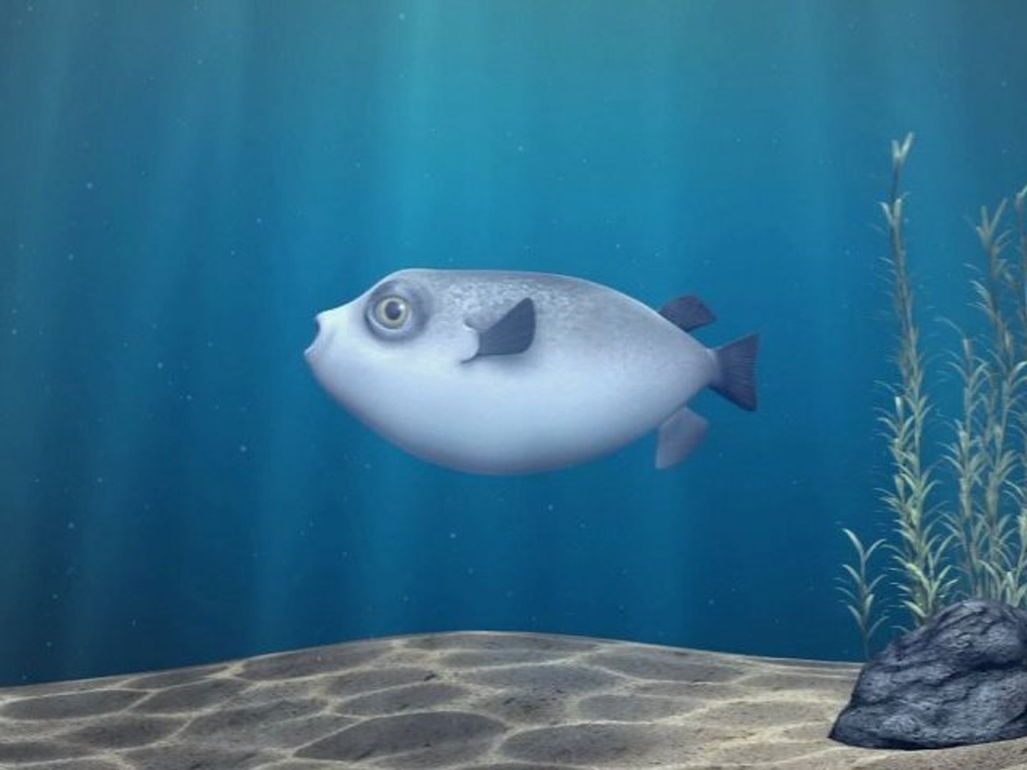 Fugu (Film d'Animation)