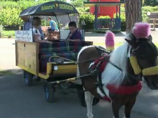 Cavalli & Bambini - L'evento